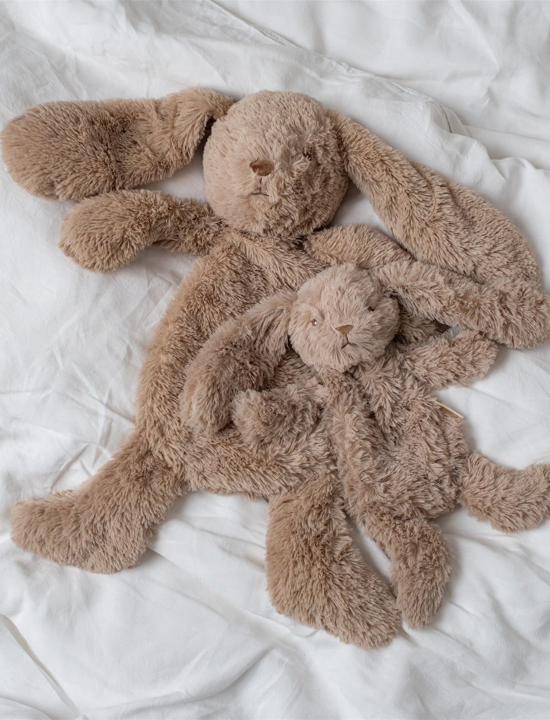 That’s Mine Houston Heavy Teddy - Piccolo