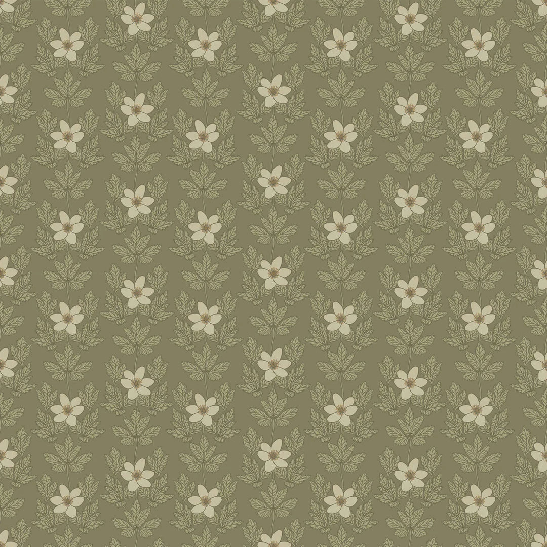 Summer Gray Wood Anemone Wallpaper Wood Anemone Green - Hola BB